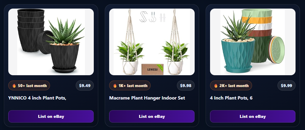 Products loaded for the selected category